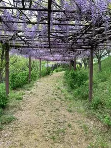 種松山公園西園地