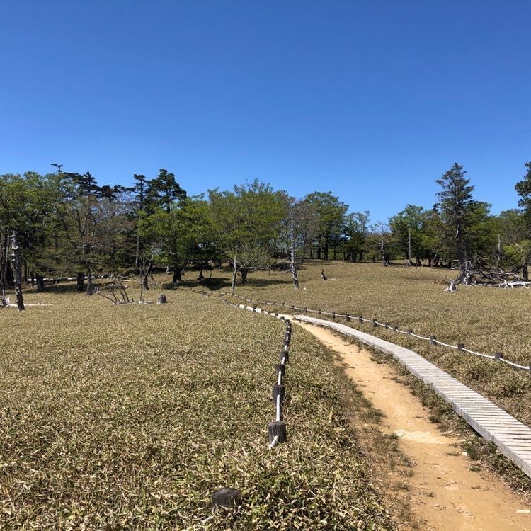 takeさんが投稿した正木ヶ原の原生林に関する口コミの画像