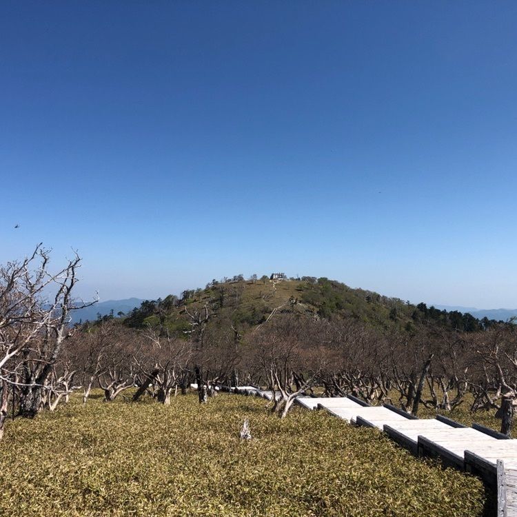 takeさんが投稿した正木ヶ原の原生林に関する口コミの画像