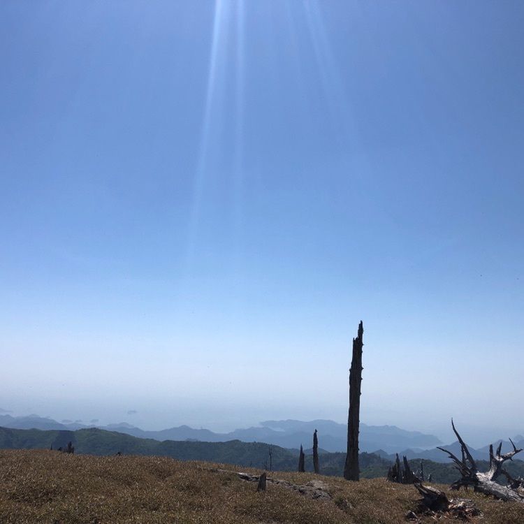 takeさんが投稿した正木ヶ原の原生林に関する口コミの画像