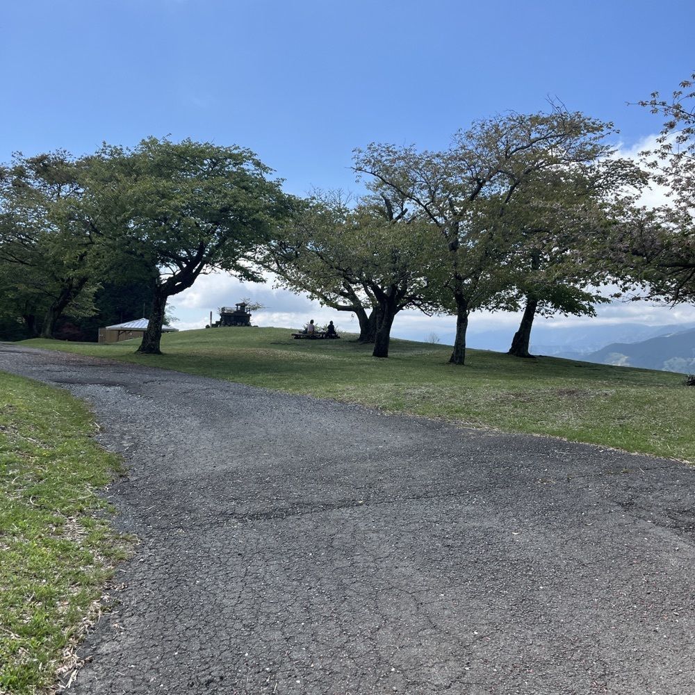 ロッシフミさんが投稿した大野山に関する口コミの画像