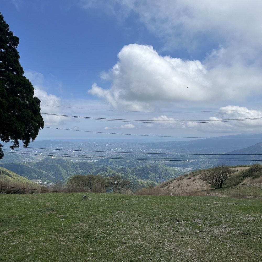 ロッシフミさんが投稿した大野山に関する口コミの画像