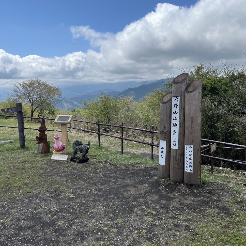 ロッシフミさんが投稿した大野山に関する口コミの画像
