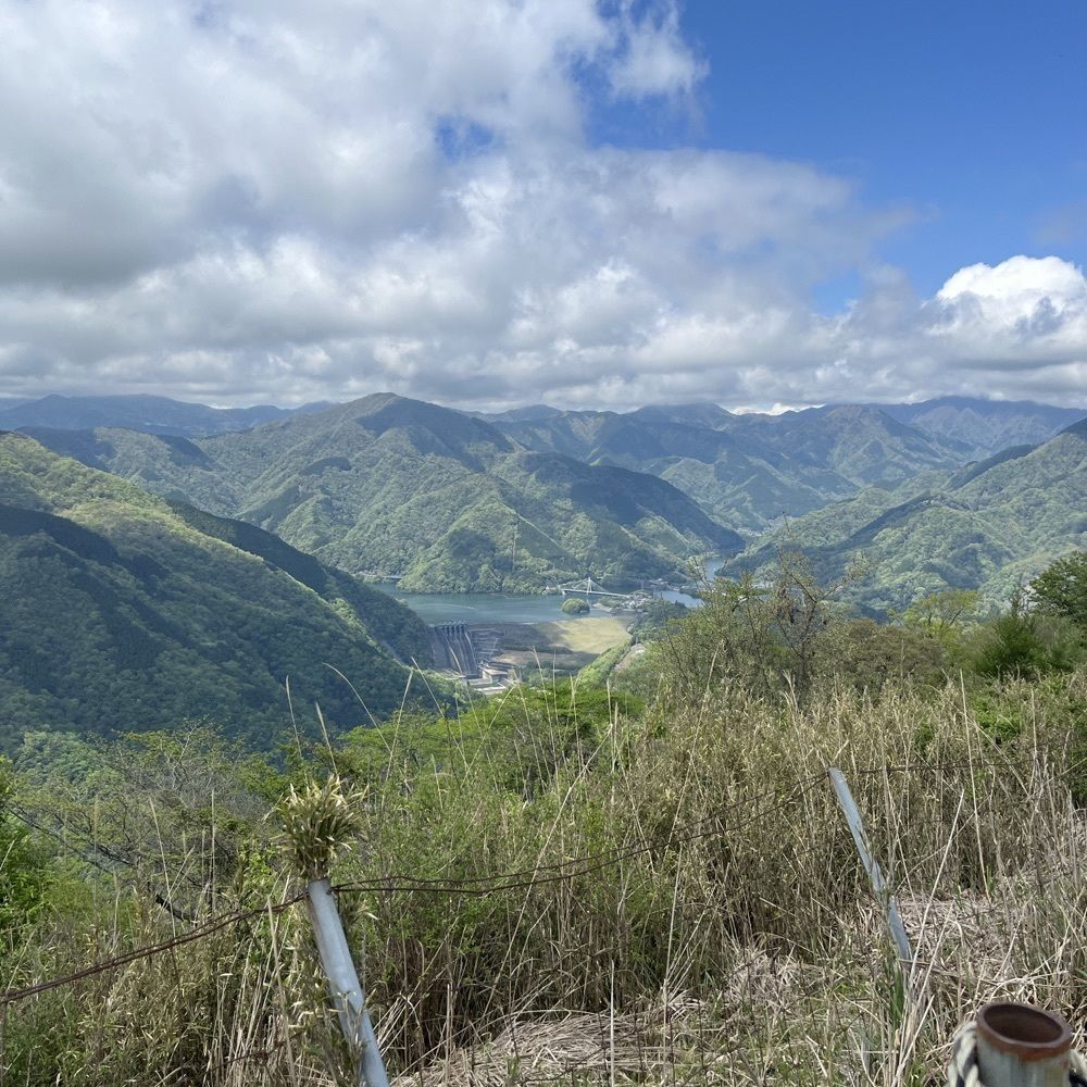 ロッシフミさんが投稿した大野山に関する口コミの画像