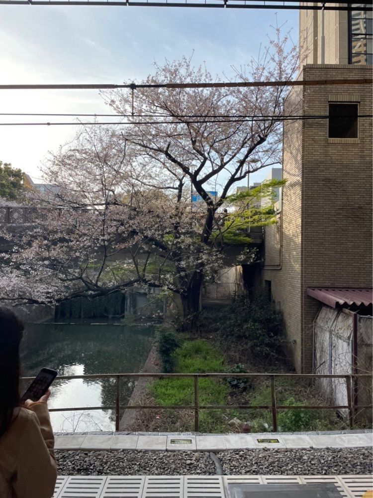 formal_tourism_8e7eさんが投稿したカナルカフェブティック（CANAL CAFE boutique）に関する口コミの画像