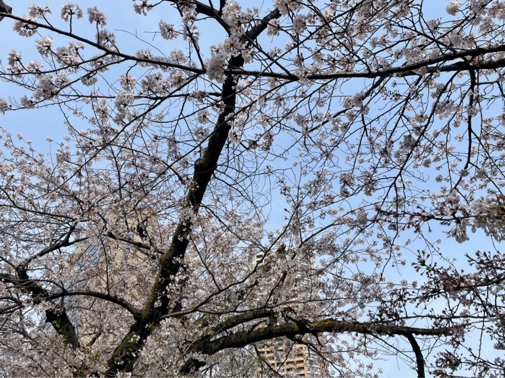 formal_tourism_8e7eさんが投稿したカナルカフェブティック（CANAL CAFE boutique）に関する口コミの画像