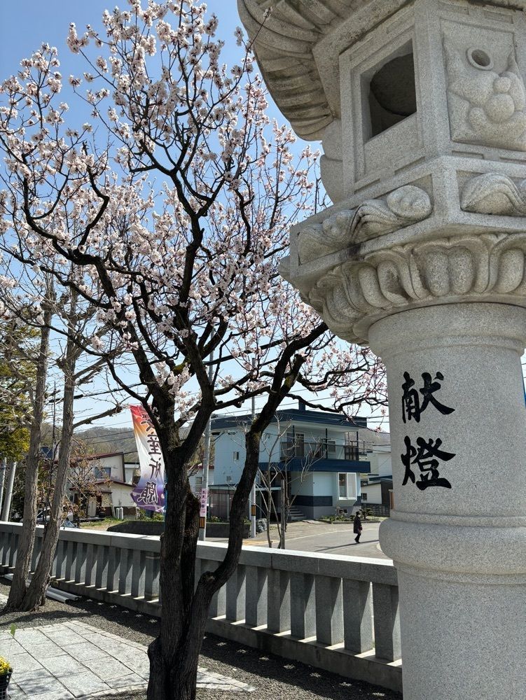 それなはとけさんが投稿した西野神社に関する口コミの画像