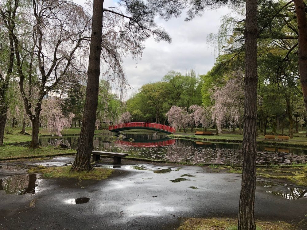 nostalgic_culture_2329さんが投稿した湯沢カルチャーセンターに関する口コミの画像