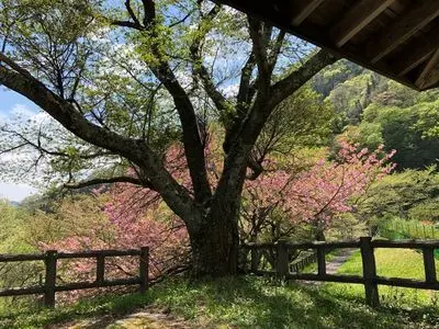 相俣ダム 3枚目