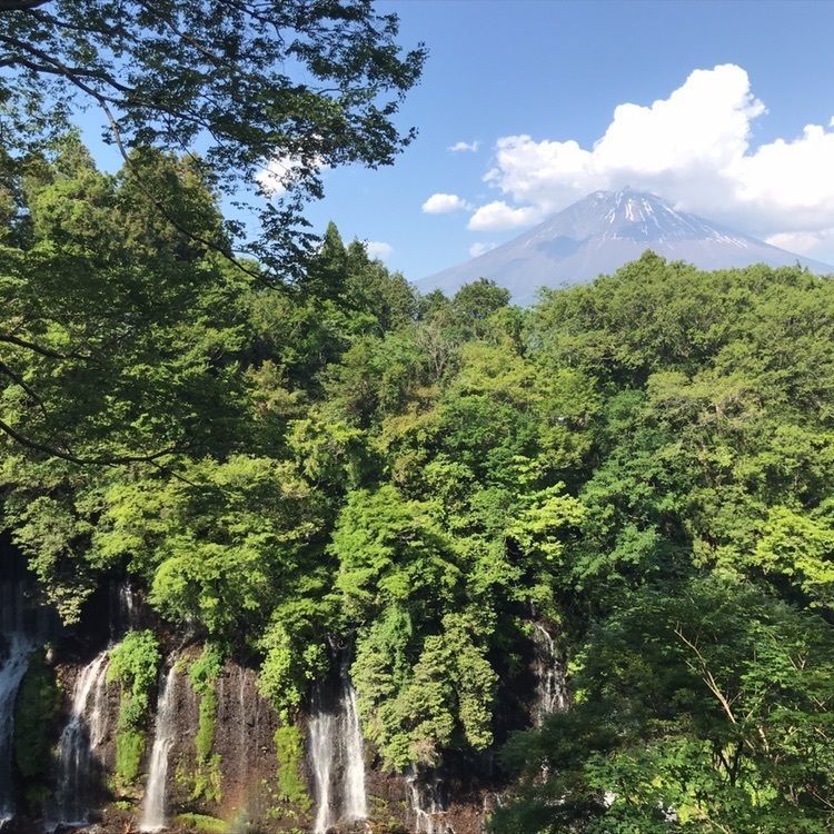 Mitsuさんが投稿した白糸の滝に関する口コミの画像