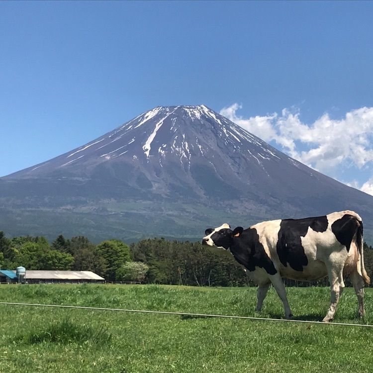 Mitsuさんが投稿した画像の画像