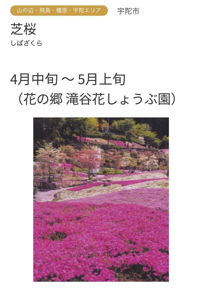 ぺたこ♡さんが投稿した花の郷滝谷花しょうぶ園に関する口コミの画像