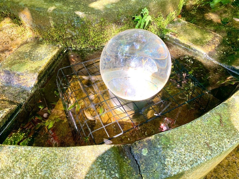ライさんが投稿した山王寺に関する口コミの画像