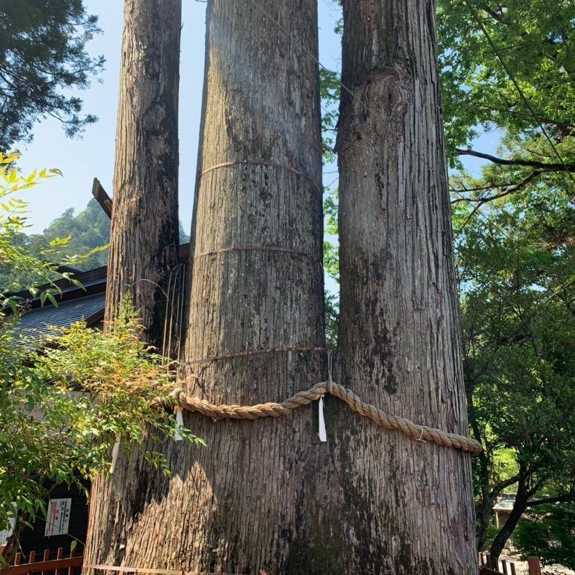 しゃんぽんさんが投稿した奥氷川神社に関する口コミの画像