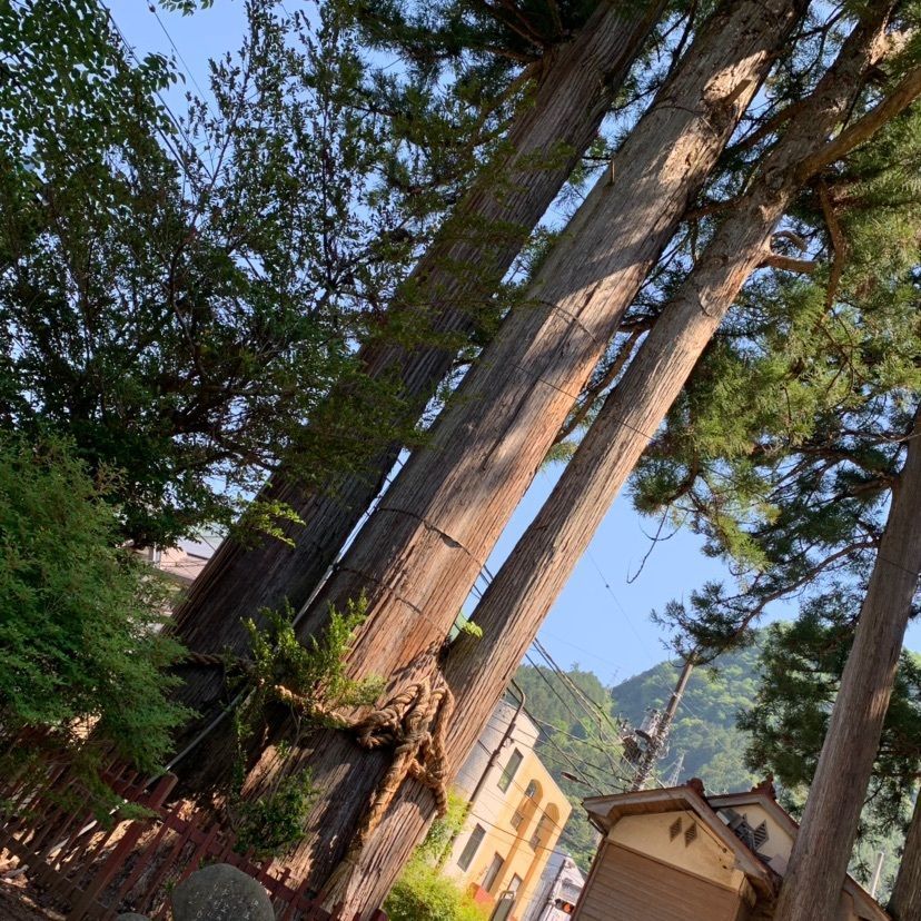しゃんぽんさんが投稿した奥氷川神社に関する口コミの画像