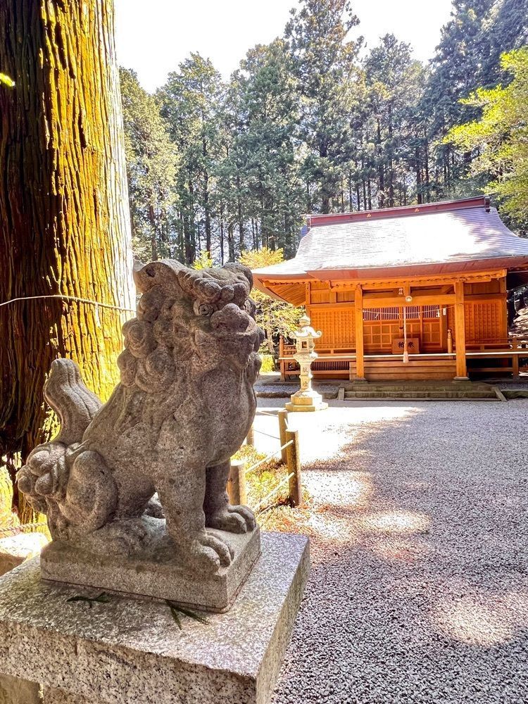 ビンカさんが投稿したYMCA東山荘 森のレストランに関する口コミの画像