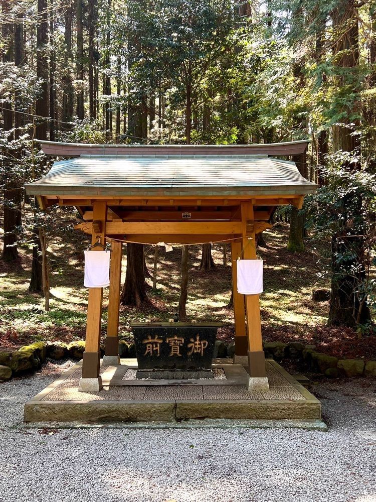 ビンカさんが投稿したYMCA東山荘 森のレストランに関する口コミの画像
