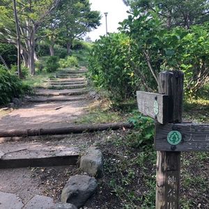 湘南平（高麗山公園）