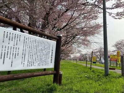 二十間道路桜並木