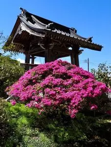 寝釈迦石像