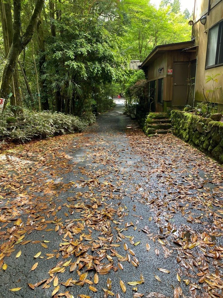 かめ_メグミさんが投稿した霧島湯之谷山荘に関する口コミの画像