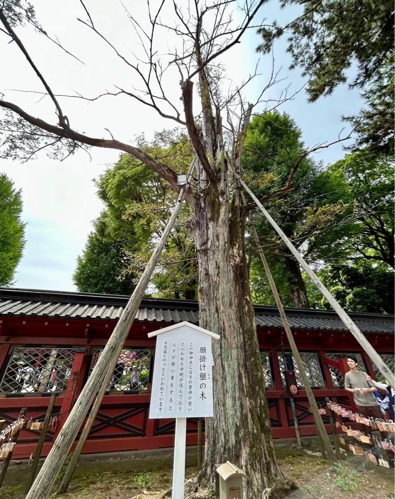 Mさんが投稿した美濃屋 文右衛門 新大塚店（みのやぶんえもん）に関する口コミの画像