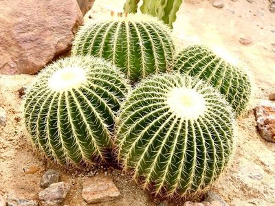 ザ・ヒロサワ・シティ会館 6枚目