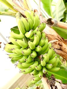 ザ・ヒロサワ・シティ会館 7枚目