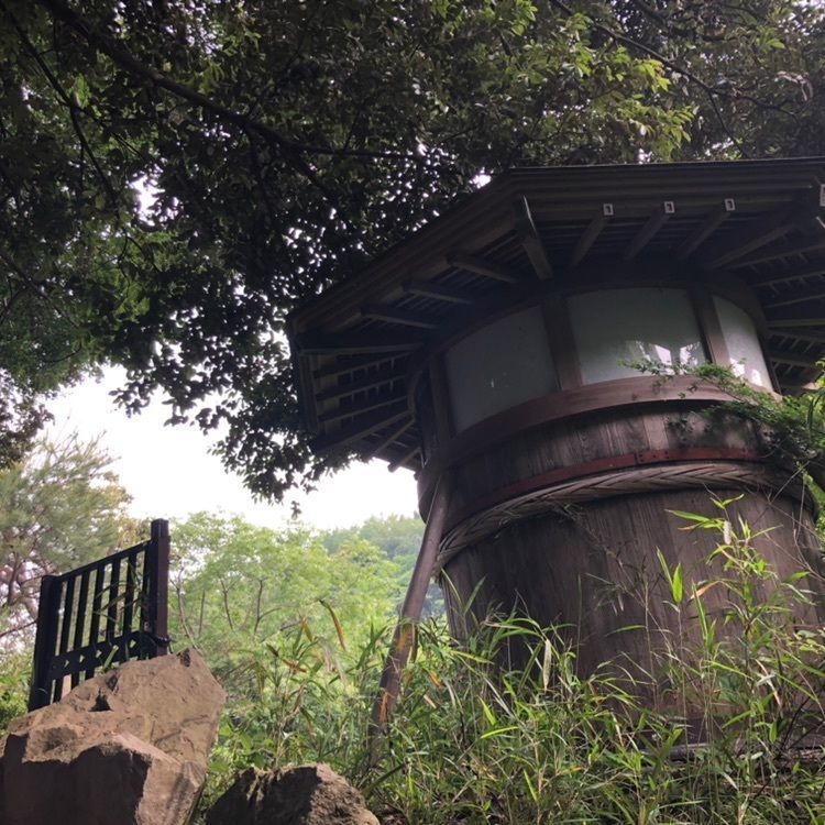 タッキーさんが投稿した高麗山に関する口コミの画像