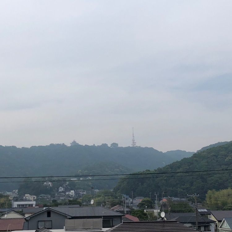 タッキーさんが投稿した旧東海道松並木に関する口コミの画像