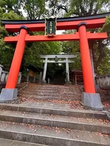 スリーエフ 中井店
