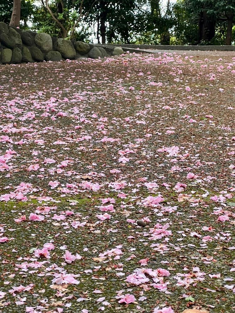 ビンカさんが投稿したスリーエフ 中井店に関する口コミの画像