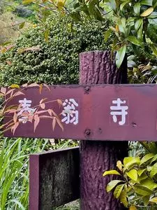 中井中央公園