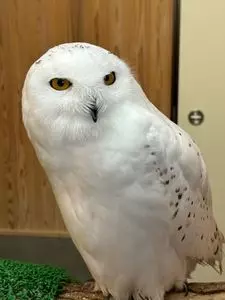 フォーゲルパーク　フローラ