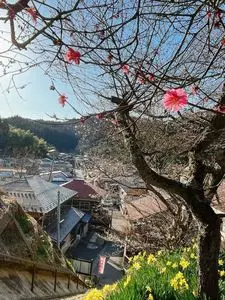湯田川温泉梅林公園
