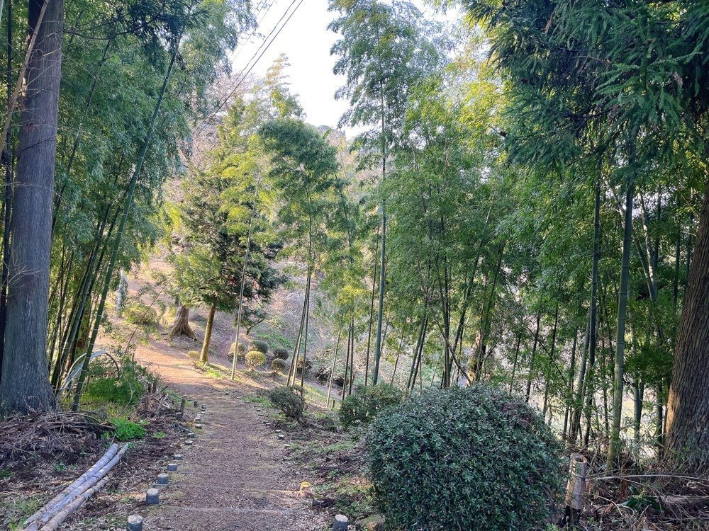 猫なぎ。さんが投稿した湯田川温泉梅林公園に関する口コミの画像