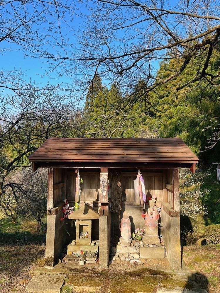 猫なぎ。さんが投稿した湯田川温泉梅林公園に関する口コミの画像
