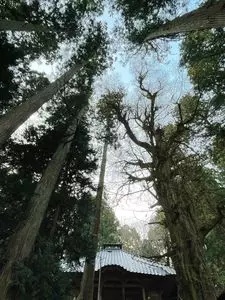 湯田川温泉