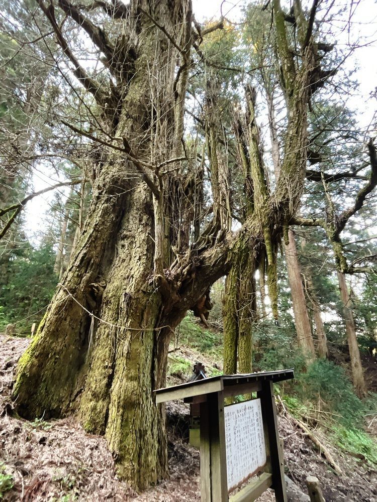 猫なぎ。さんが投稿した湯田川温泉に関する口コミの画像