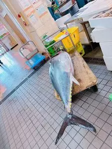 七厘村