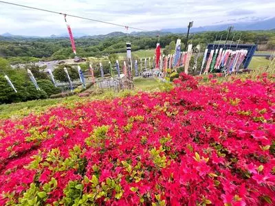 なかい里都まちＣＡＦＥ