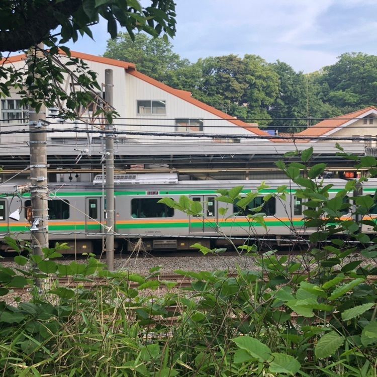 タッキーさんが投稿したJR大磯駅に関する口コミの画像