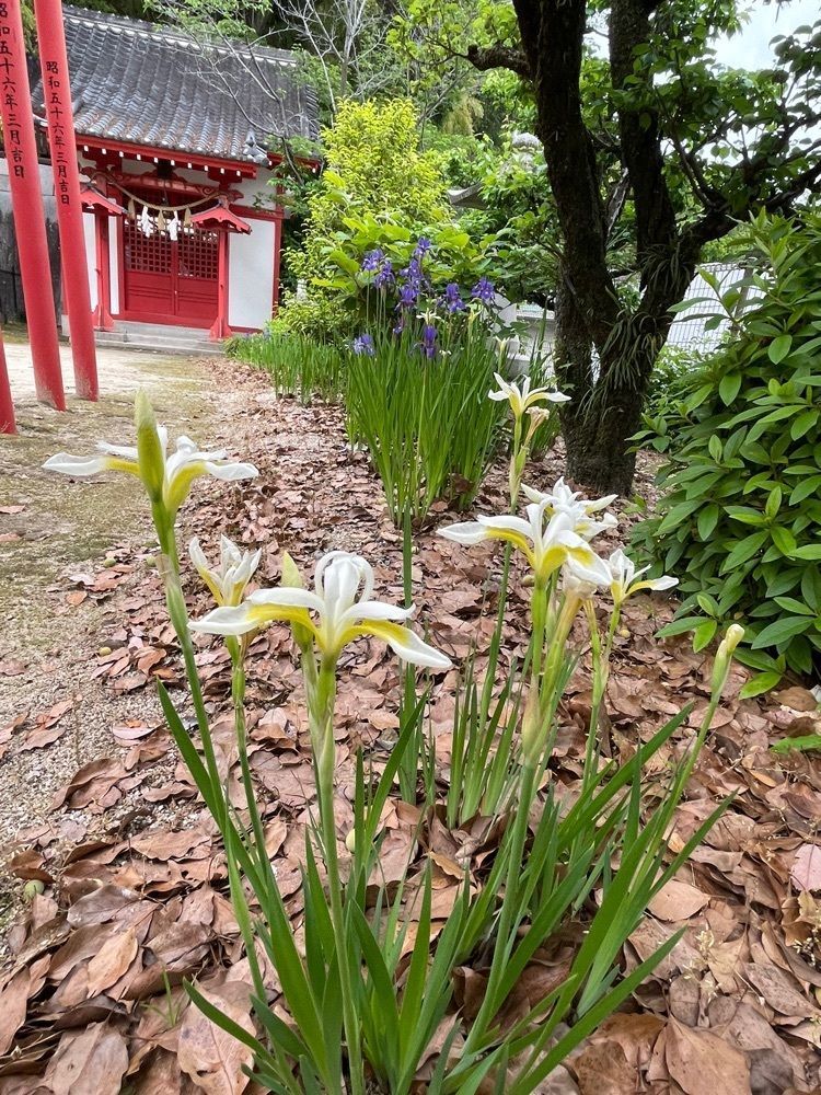 みーなさんが投稿した饒津神社に関する口コミの画像