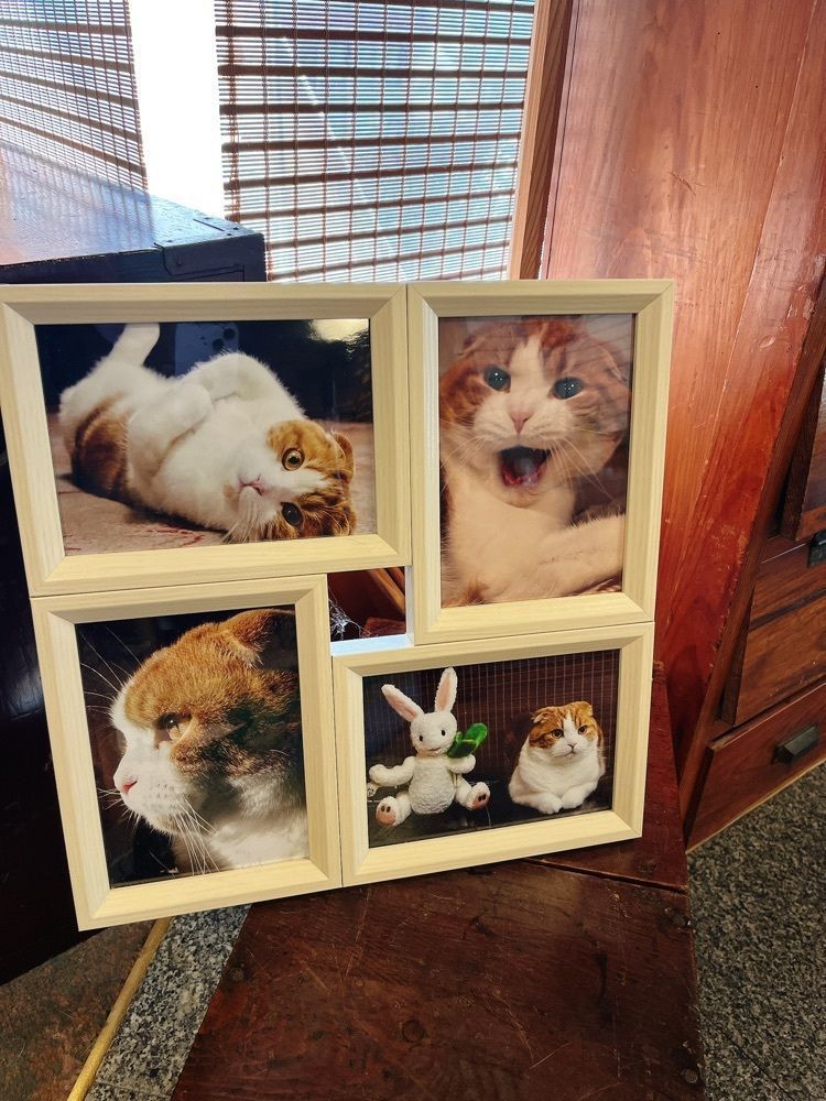 猫なぎ。さんが投稿した仙荘　湯田川に関する口コミの画像