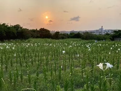 沖縄県総合運動公園