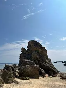 ゴリラチョップ