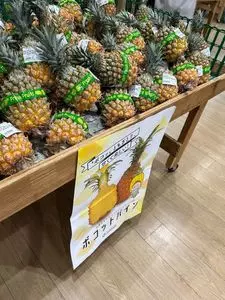 ファーマーズマーケットやんばる はい菜！やんばる市場