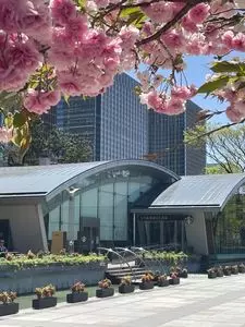 スターバックスコーヒー 皇居外苑 和田倉噴水公園店（STARBUCKS COFFEE）