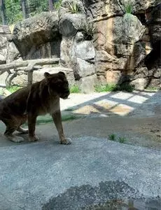 静岡市立日本平動物園