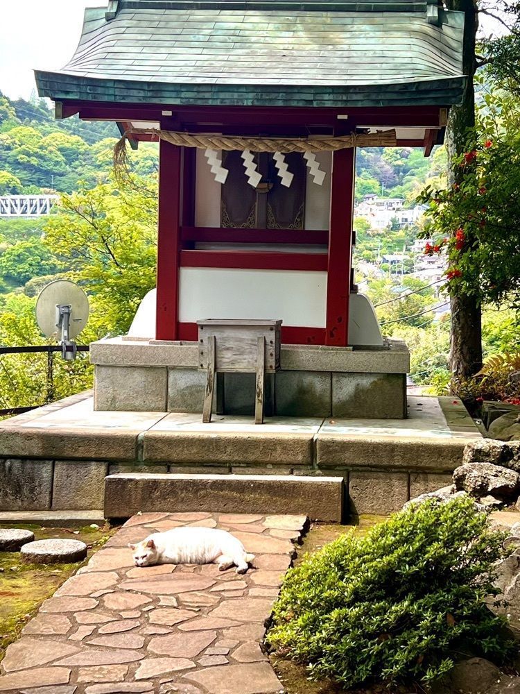 ビンカさんが投稿した伊豆山郷土資料館に関する口コミの画像